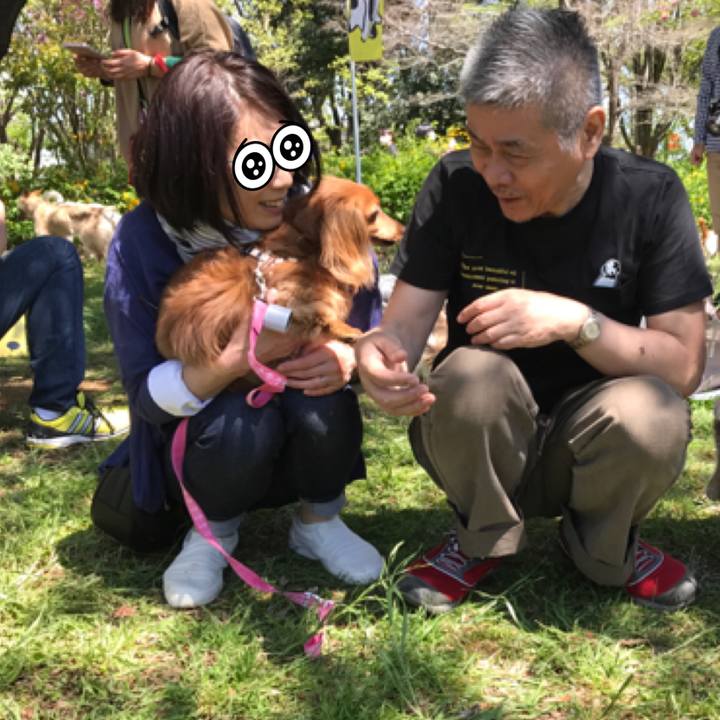 8b4862d2 6037 4c61 b80e 7b976c9ab885