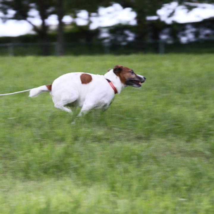 8b494b48 fcf9 4e86 846b e82537066e8b