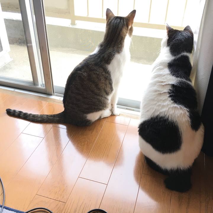 8b4959f1 d6f0 44d0 a37a 9bd7f995c510