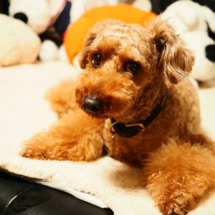 8b499300 63cd 4f0c 8cdd 50be98cea8ad