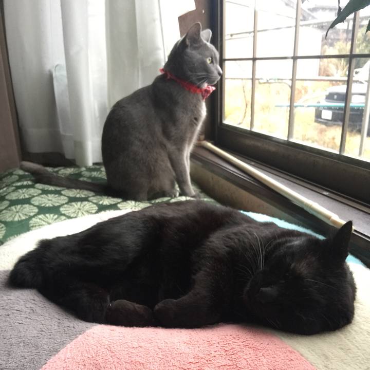 8b49a54d b385 477c aeb9 479bcba25b86