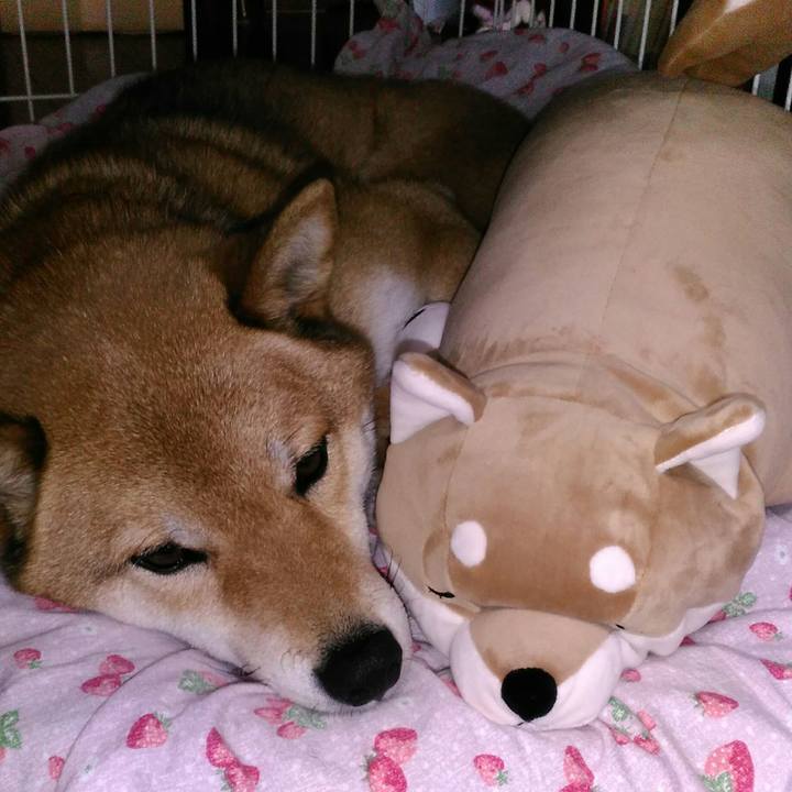 8b49ee78 b357 4e65 99f2 8ac965d8f9a4