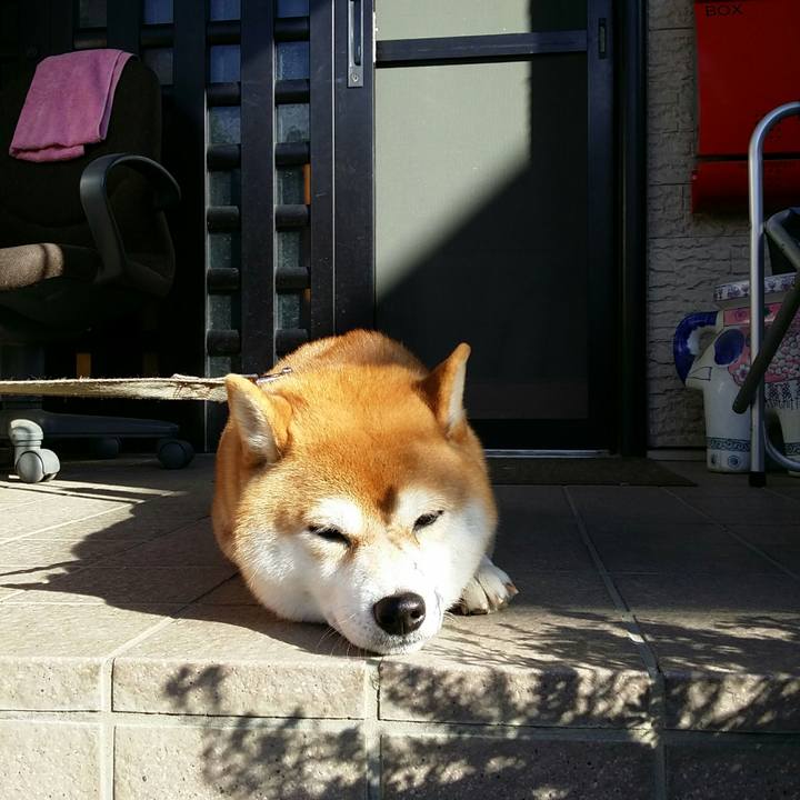 8b4a594c 22b1 408f bd92 19903ce228da