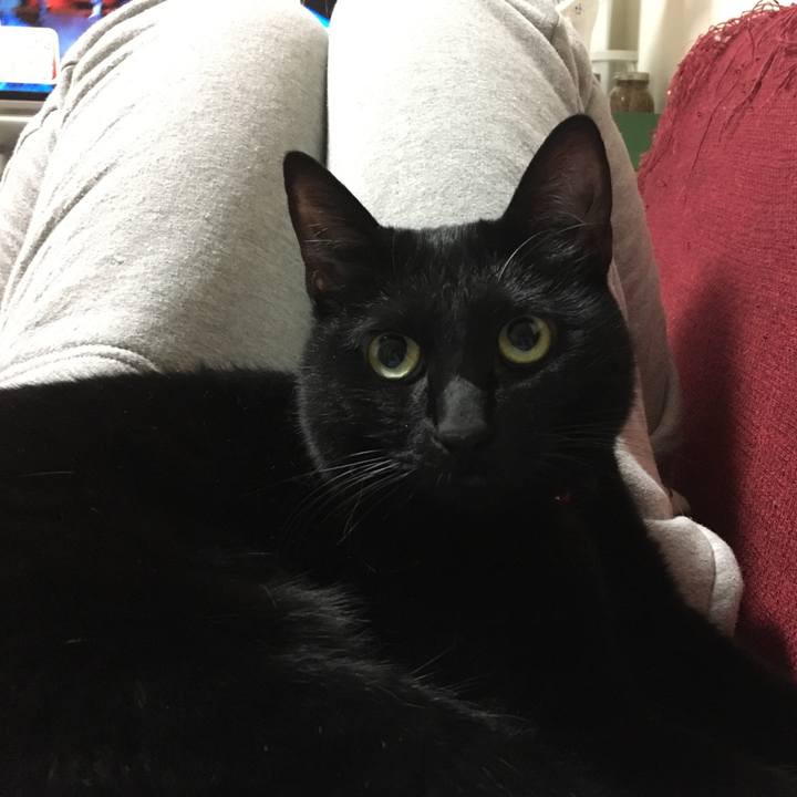 8b4a799f 3f01 4d05 b499 5e8308910f4e