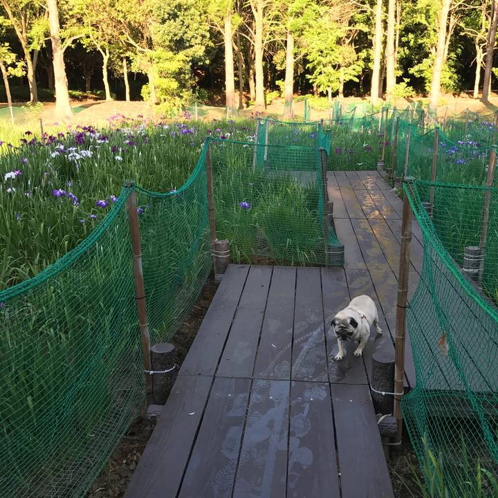 8b4a8c09 ce39 49c1 b792 18c5bd3a96d9