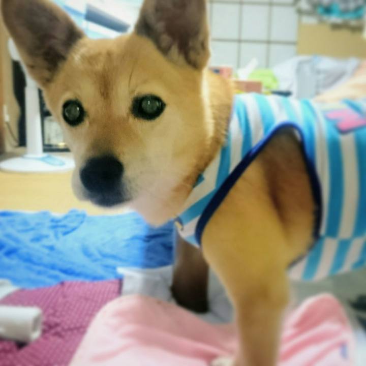 8b4b5017 e6d0 4e1e b19e e3bfd2fdf8ce