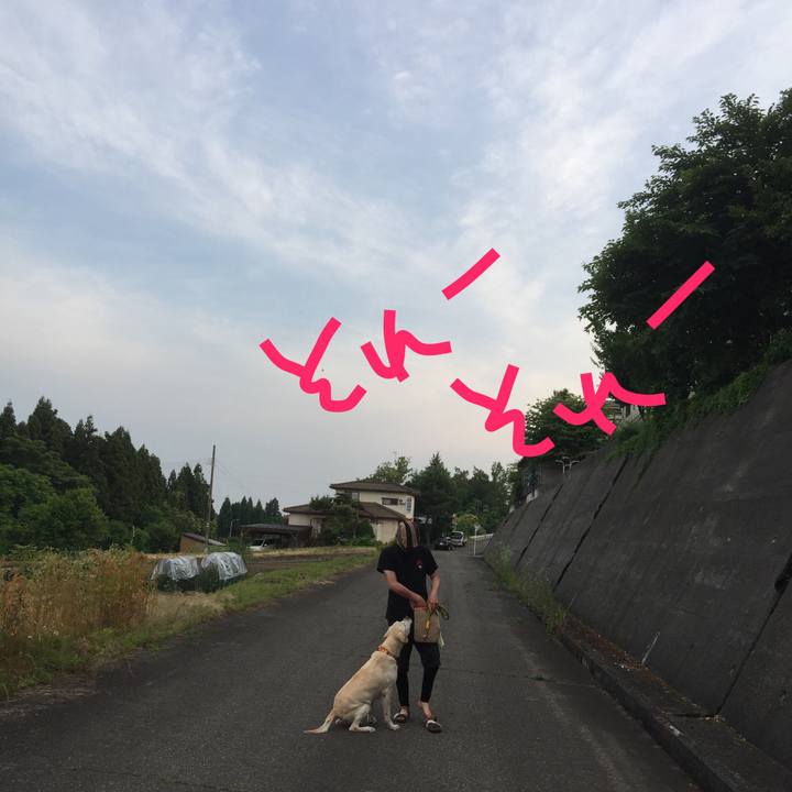 8b4b905a b3e6 4c6f bbbd 8a0f4eae7026