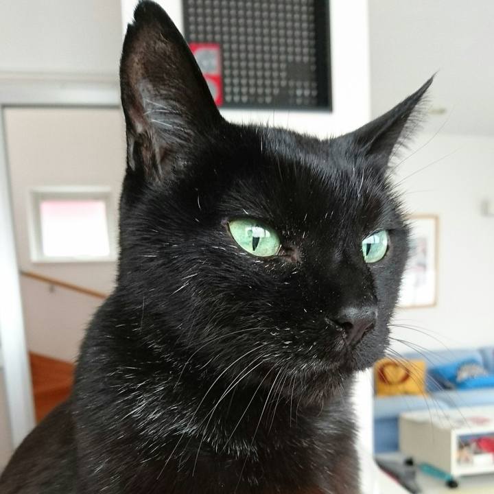 8b4b91d1 a365 4e56 86de 89436c7473be