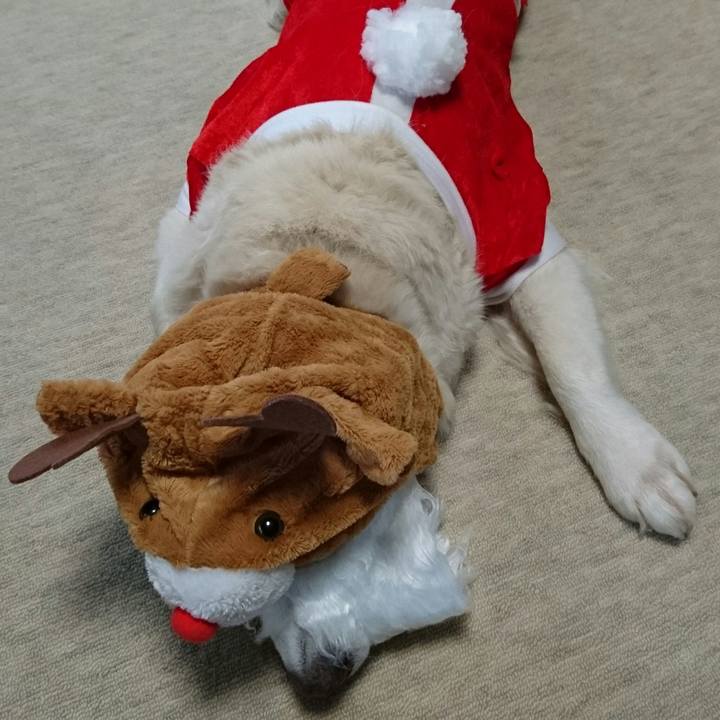 8b4ba454 b08a 40d4 9d06 68a0247997d6