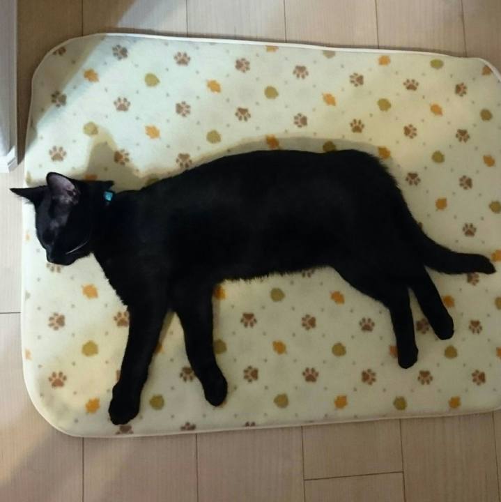 8b4c2088 ca8f 469d 8702 a8e0dbf6ae85