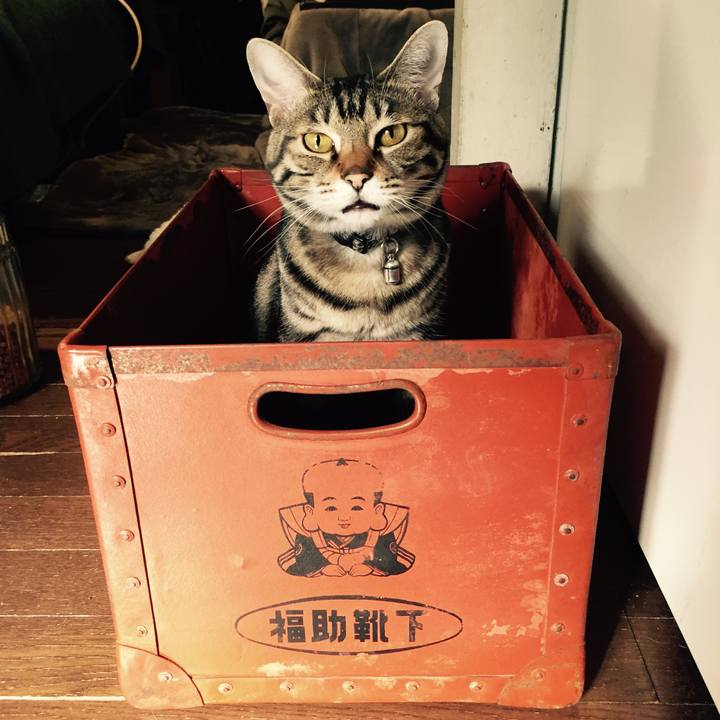 8b4ce48b a7a9 42c2 9dfe 8ad6649f86f8