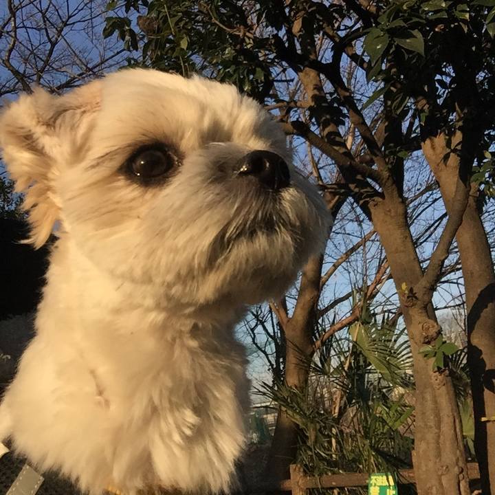 8b4d3619 764b 4076 8205 25afc200d86c