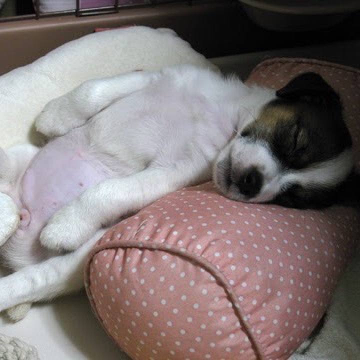 8b4d3eba 0a27 423e a504 8cdffc290bbc