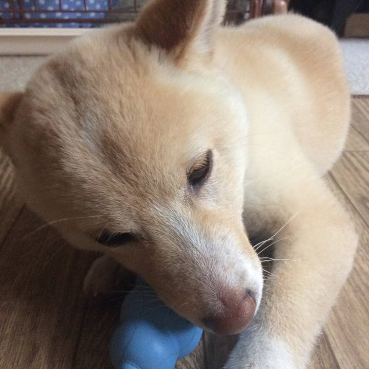 8b4e31b3 b272 43c0 92d9 897a0f7f02d6