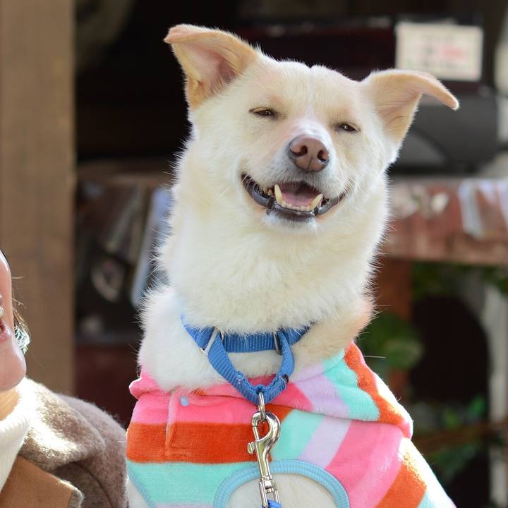 8b4e359f a356 4e23 9746 4229323bbf4a