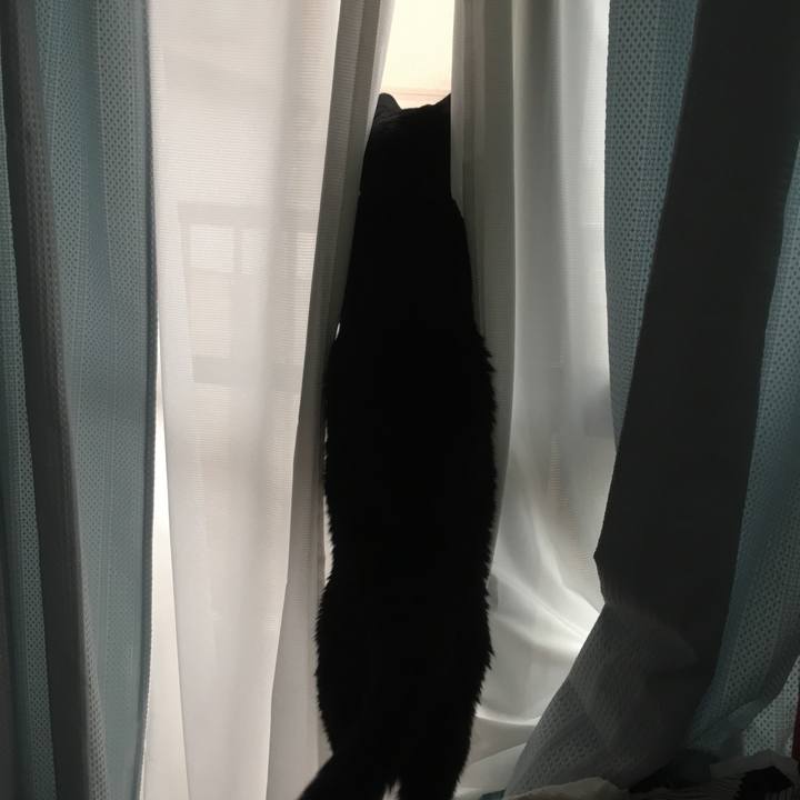 8b4e8555 eeaf 4daa a7c0 a75051cc3faa