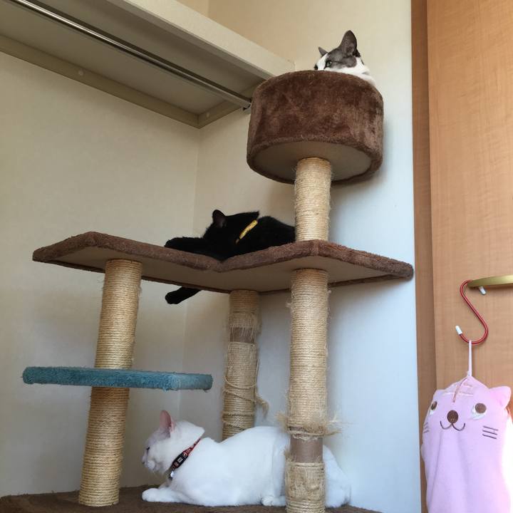 8b4f0dfd 5802 43d0 b2c5 32d38e6d6717