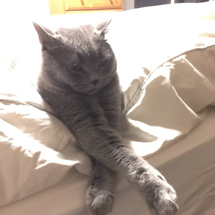 8b4f29ad 79aa 4c78 98c8 0e8faa5bcb85