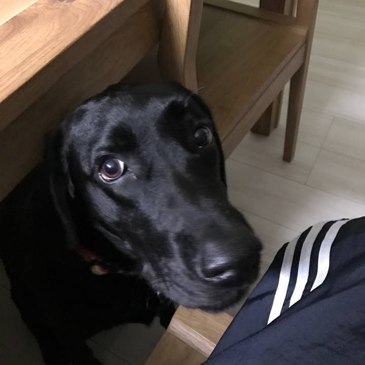 8b50225e c6d6 4531 90c1 37e9552bdda9