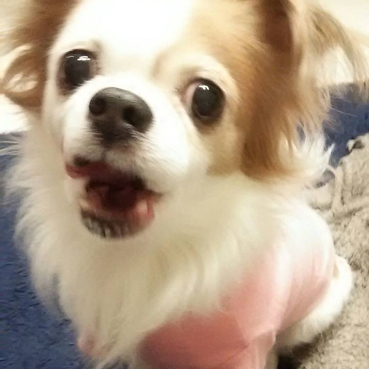 8b5097d2 aa57 4a30 ab63 c2cedccdffb0