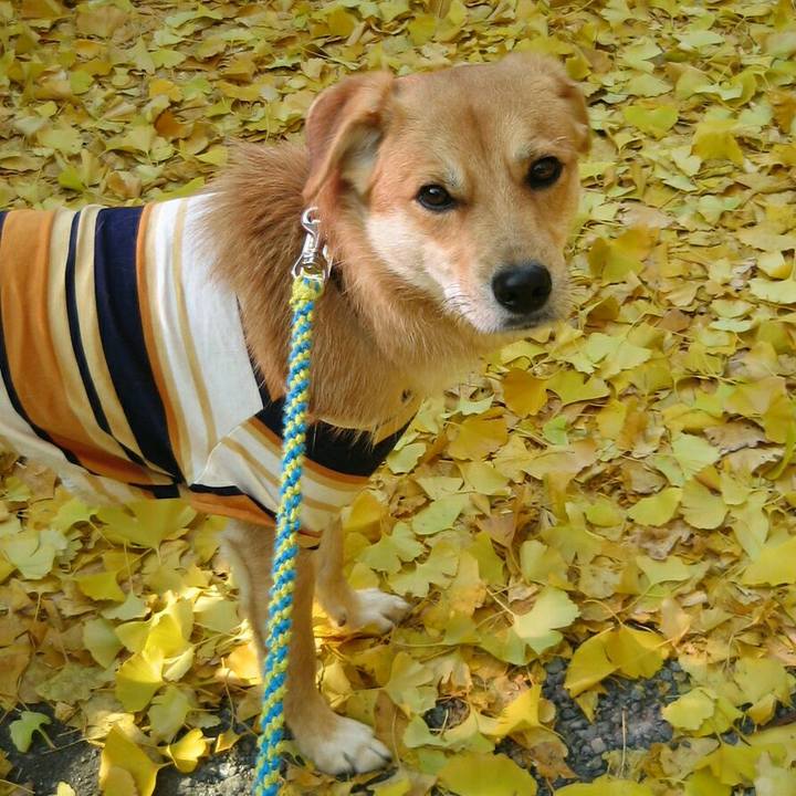 8b510f3e 5152 4f88 a2a3 9866a083095f