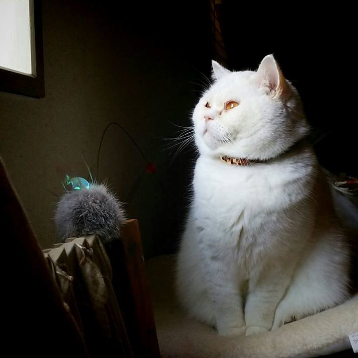 8b511feb 1c51 4fa5 92fe 6feda0d87e5a