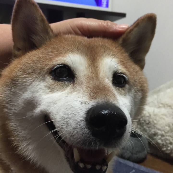 8b516bc8 5819 483e 84f4 6c5107d9e9e2