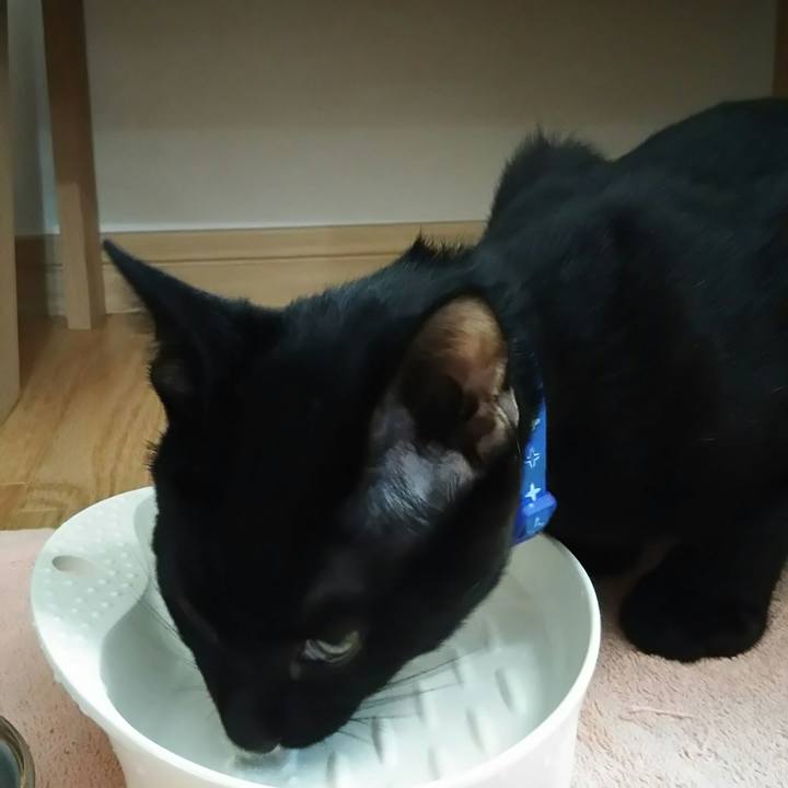 8b51778a 5484 4d63 baa3 d5353e43ef8d