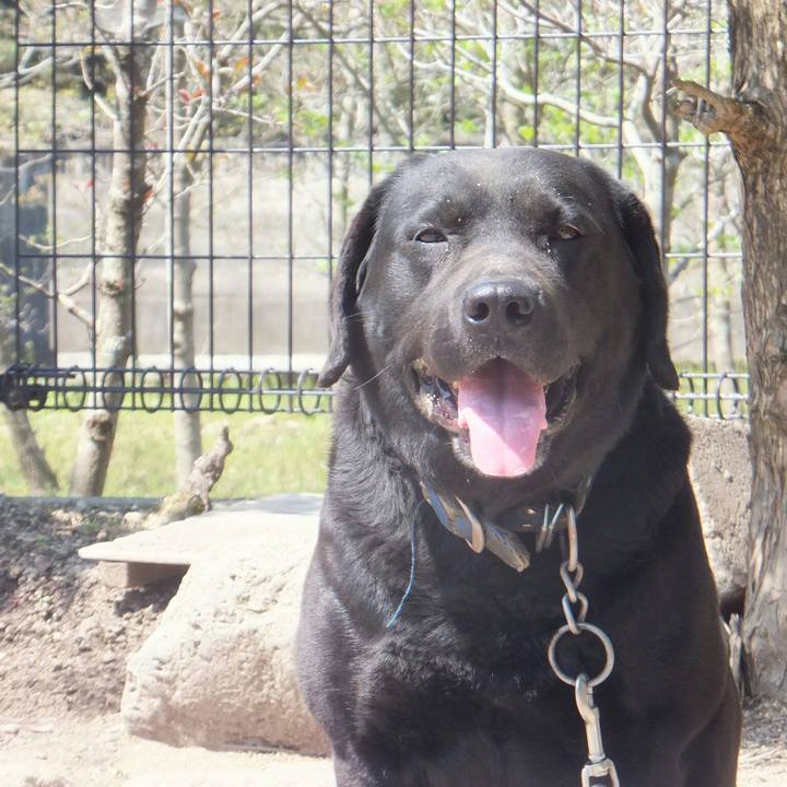 8b525d77 ce7c 4907 b2f0 99aef3d0e9bb