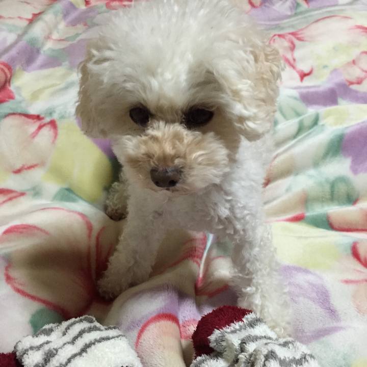 8b52c6da 46d2 45de b70d 79f770bbf937