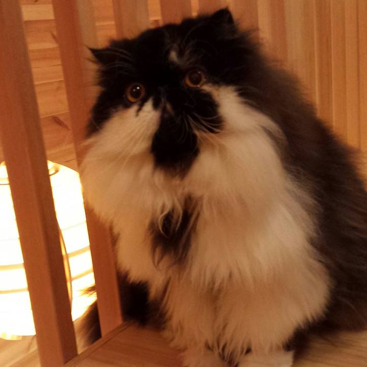 8b53af01 d74e 45af b21c 647ca9c2adc9