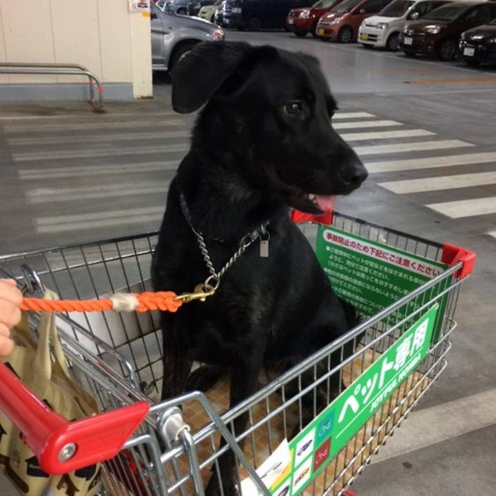 8b53c928 1312 4e79 82b5 4799f601f06d