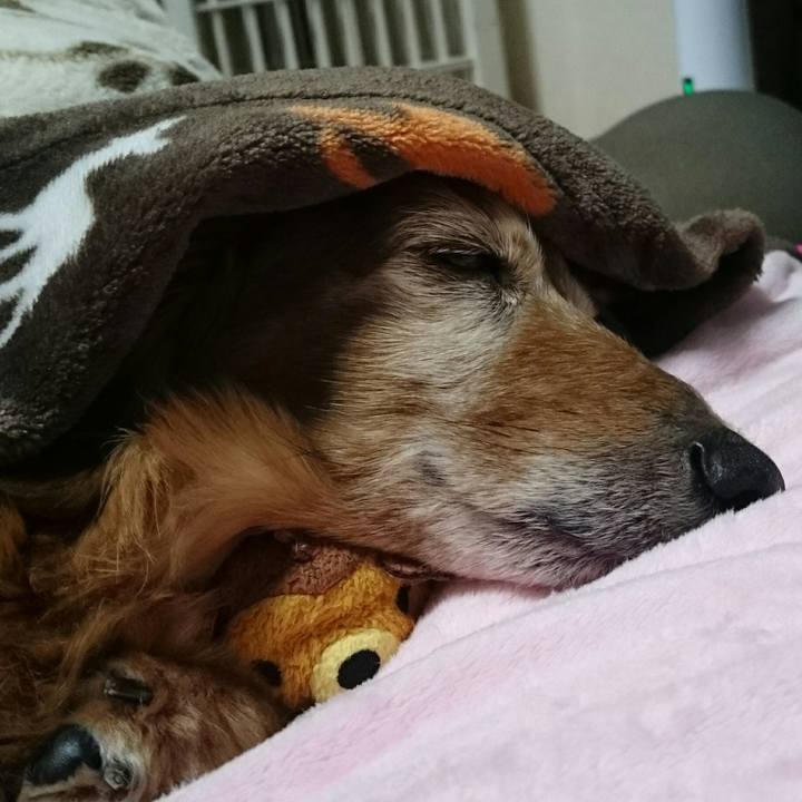 8b5421aa 7c72 47aa bd4f d490cdde26b9