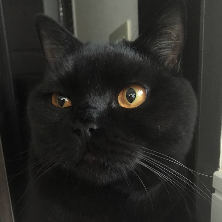 8b542d4a 5ee9 4af2 814c d12af1357aec