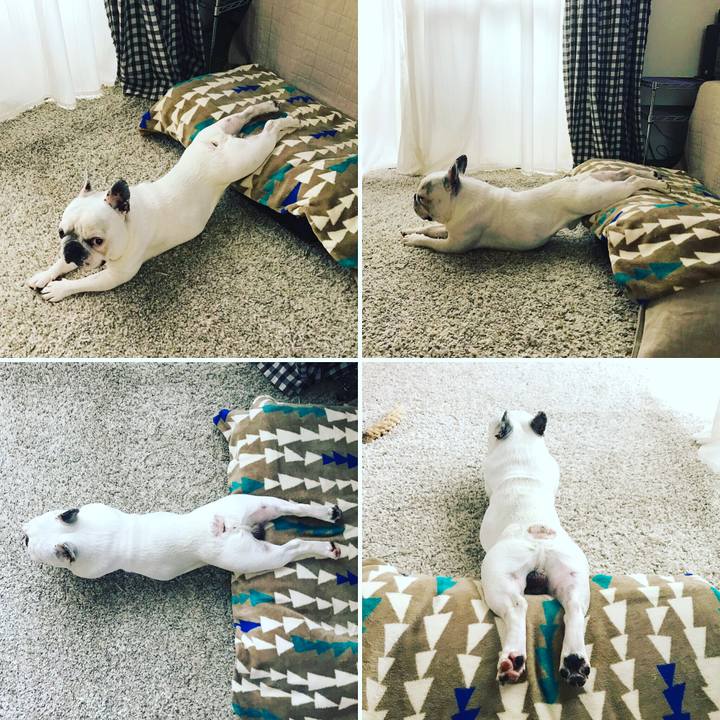 8b5450a3 dc16 4a21 a87a b81d4d0bce95