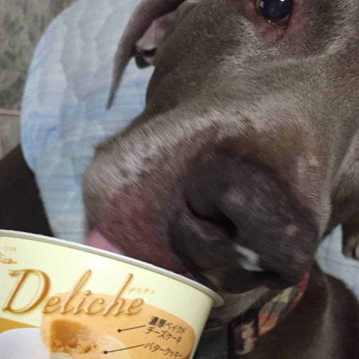 8b54662f 83d8 420d 91df 4dc39eaa8be0