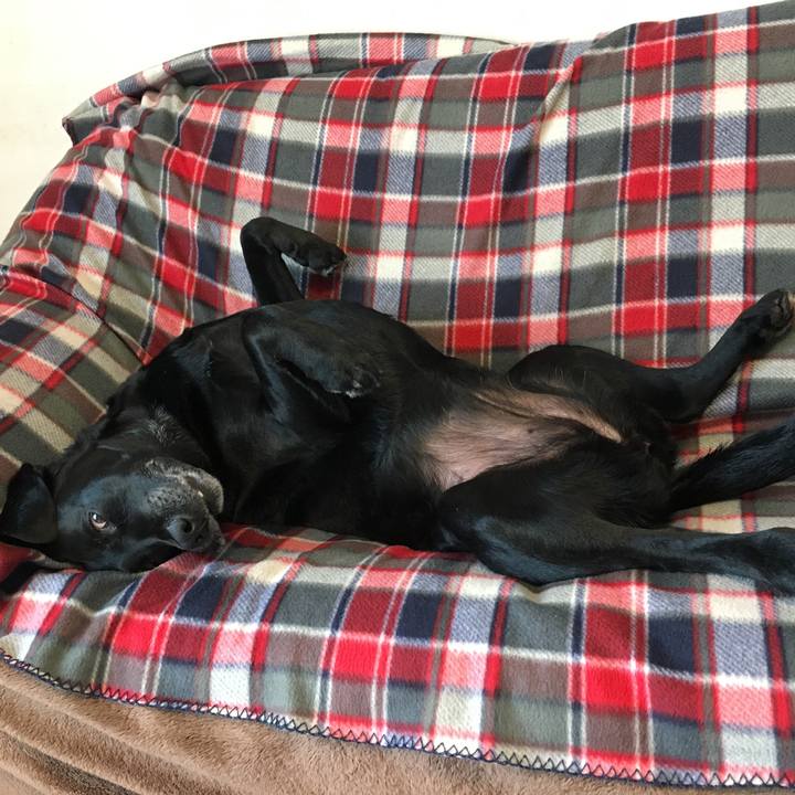 8b55bff4 a201 4118 a7a9 737ab2965b86