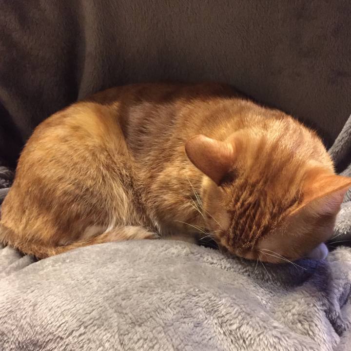 8b565519 ae8d 4708 88b7 fa2c7ffad40a