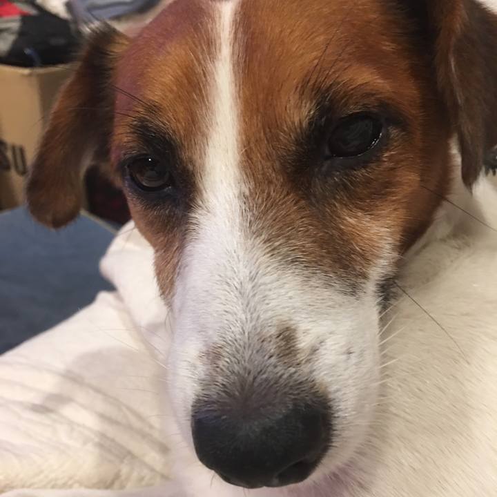 8b565b2d 08c5 454f ada8 ecc69aad5037