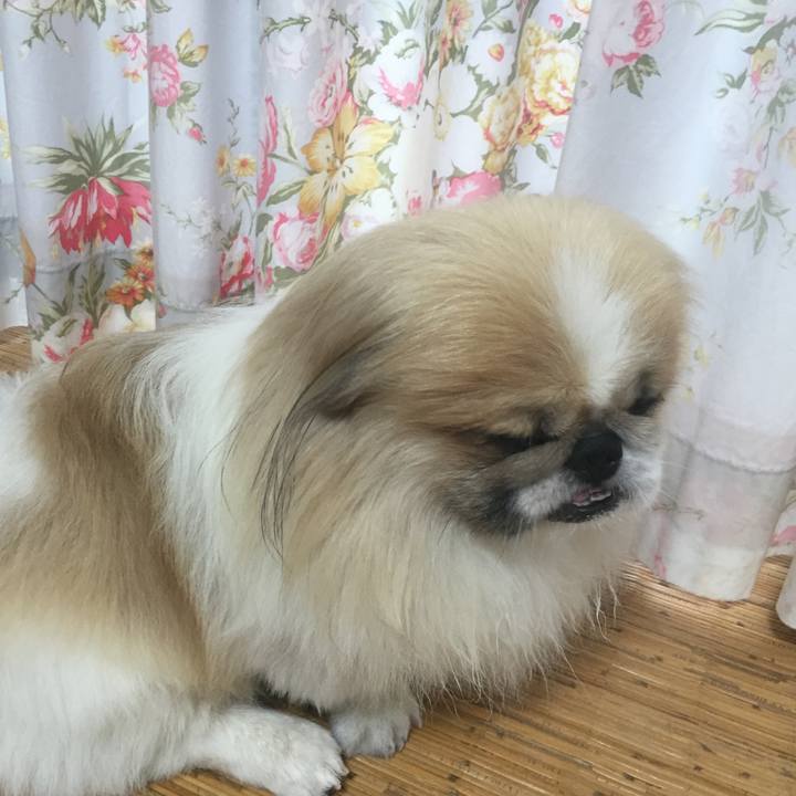 8b56c4c9 2f56 47f8 9be9 099f40c56953