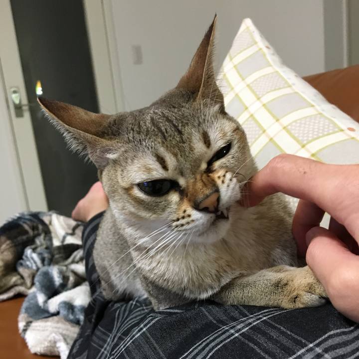 8b57de2e 332f 4dae ba7f d8cba085d21d