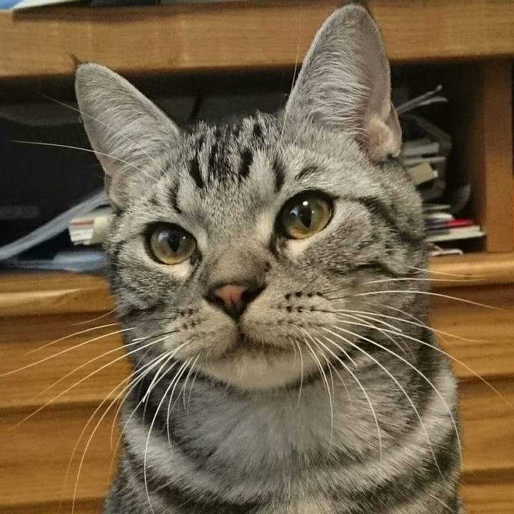 8b5863ec 7490 4fcb a33d 792c8d40a5f2