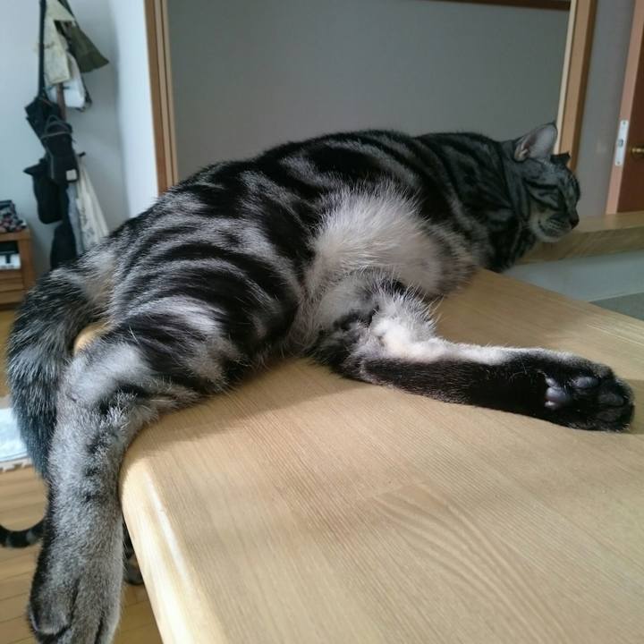 8b587e58 4371 4cad bc1b d0034b116dc9