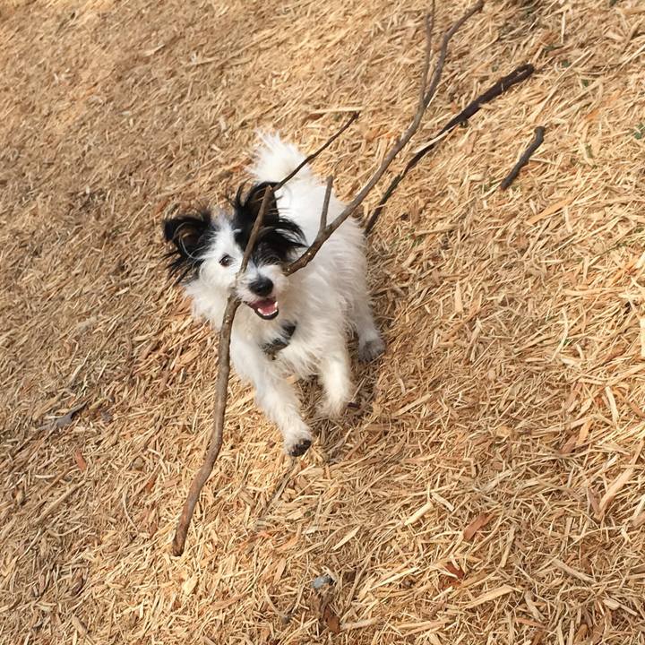 8b5887d6 a532 4b8c 9c9b 567274ac03c8