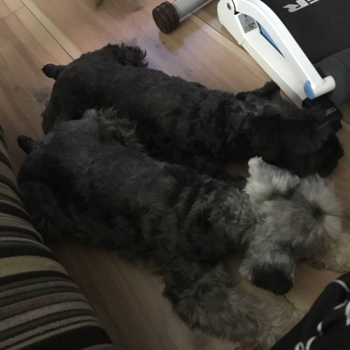 8b5a60df a177 44be a36a 6b98ea991b3f