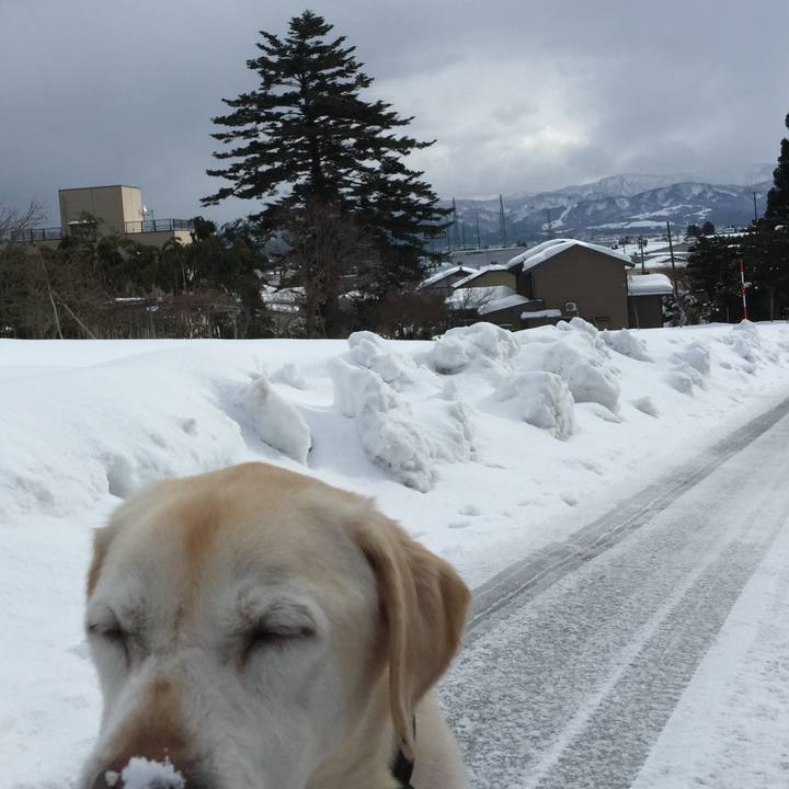 8b5a9ec9 1e3e 4086 9bee a18f560f72f2