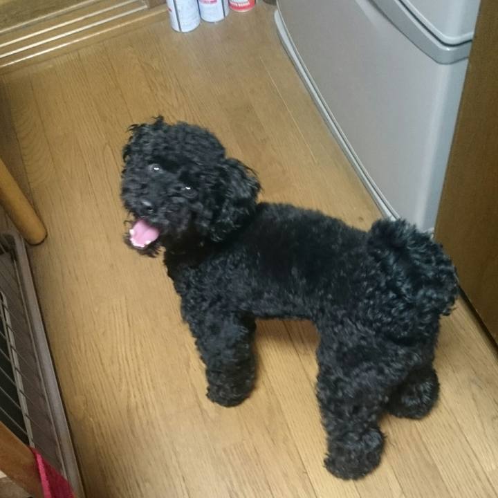 8b5ac700 7660 438c a767 57383de4797f