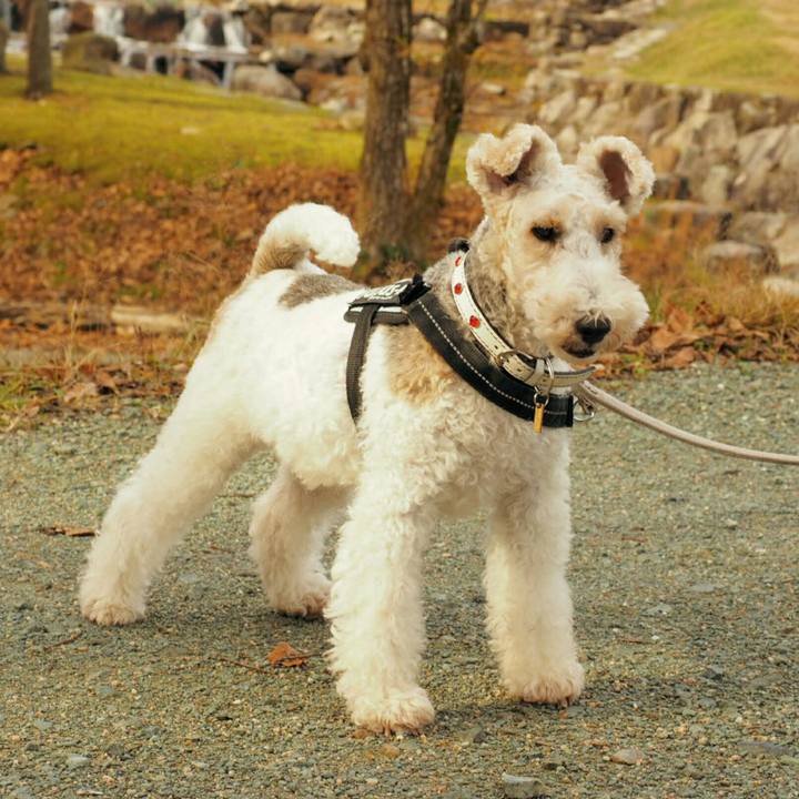 8b5ac84c a315 491a 88a2 ee662d9fc99b