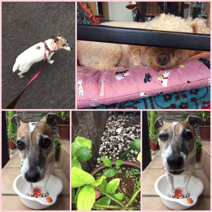 8b5afcf0 0f5f 4601 9e01 2e2de770c44e