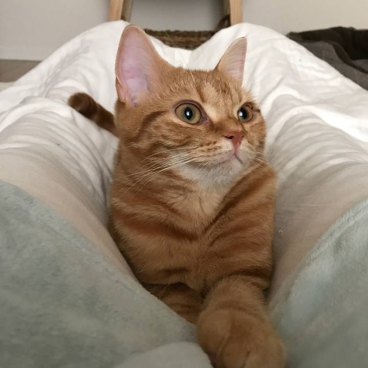 8b5b3e46 c40a 428e b5f3 17c3f7fc8de9